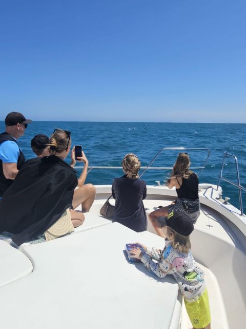Fuengirola: Dolphin Watching Boat Trip — Fun for All Ages - The swim stop away from shore