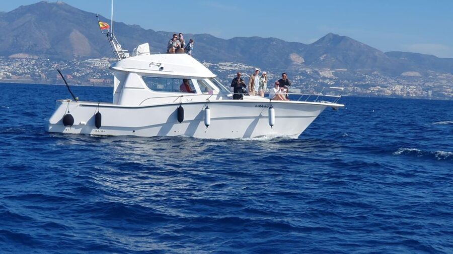 Fuengirola: Dolphin Watching Boat Trip — Fun for All Ages - Weather, cancellations, and useful planning tips