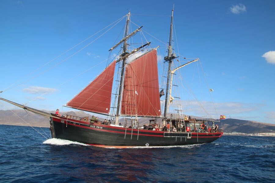 Fuerteventura: 4-Hour Pirate Sailing Adventure - Dolphins, turtles, and responsible boating