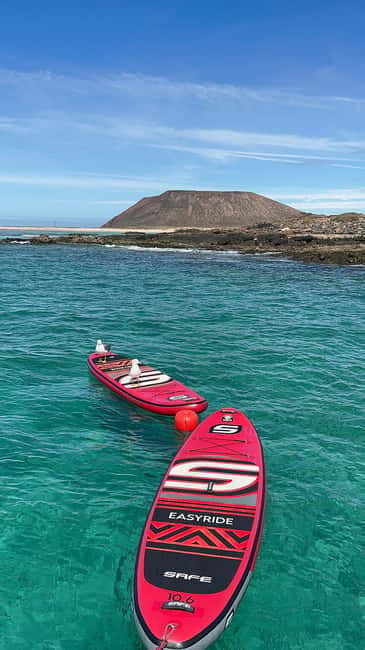 Fuerteventura: Dolphin watching and Lobo Island Combo Cruise - Quick points before you book