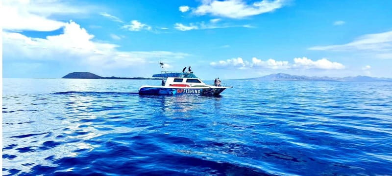 Fuerteventura: Dolphin watching and Lobo Island Combo Cruise - Paella, drinks, and the long ride home