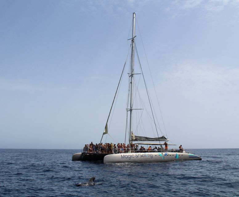 Fuerteventura: Magic Catamaran Trip with Food and Drinks - Practical booking advice