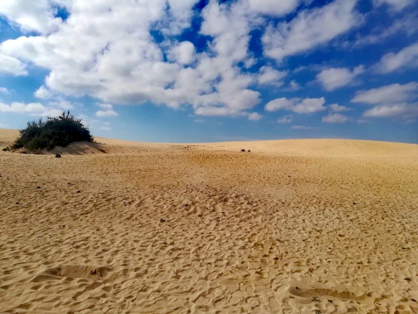Fuerteventura: North of Fuerteventura for Cruise Passengers - Key Points at a Glance