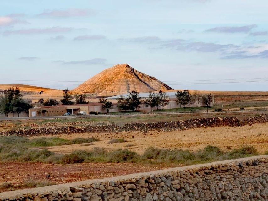Fuerteventura: North of Fuerteventura for Cruise Passengers - Who Should Book This Excursion?