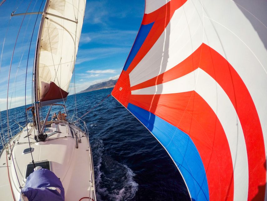 Fuerteventura: Sailing with Snorkeling and Dolphin Watching - Practical advice for a smoother trip