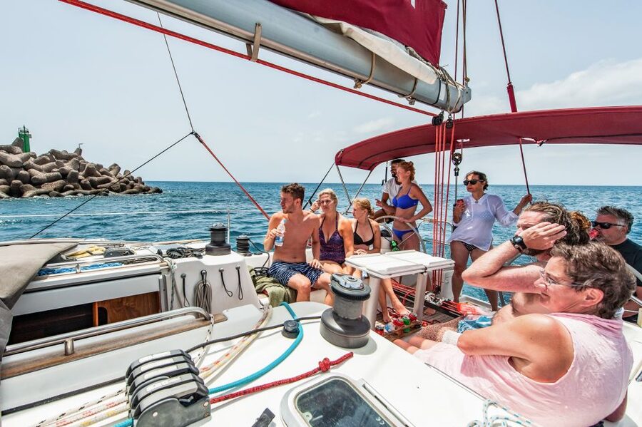 Fuerteventura: Sailing with Snorkeling and Dolphin Watching - Dolphins, whales, and the luck factor