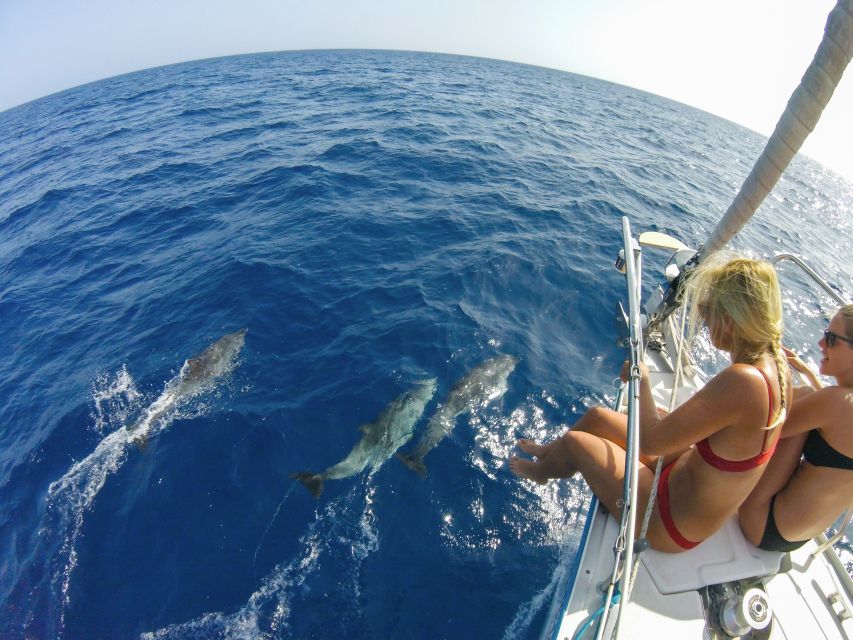 Fuerteventura: Sailing with Snorkeling and Dolphin Watching - Who will enjoy this most?