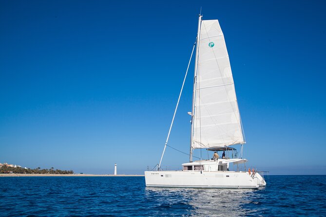 Fuerteventura: Small-Group Magic Deluxe Catamaran Cruise - The open bar and the social mood