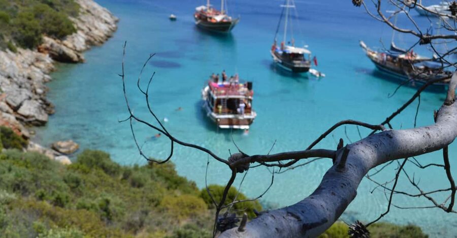 Full-Day Orak Island Boat Trip from Bodrum - Leaving Halikarnas Harbor at 11 AM