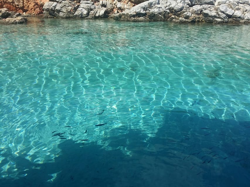 Full-Day Orak Island Boat Trip from Bodrum - Who should book this Orak Island trip?