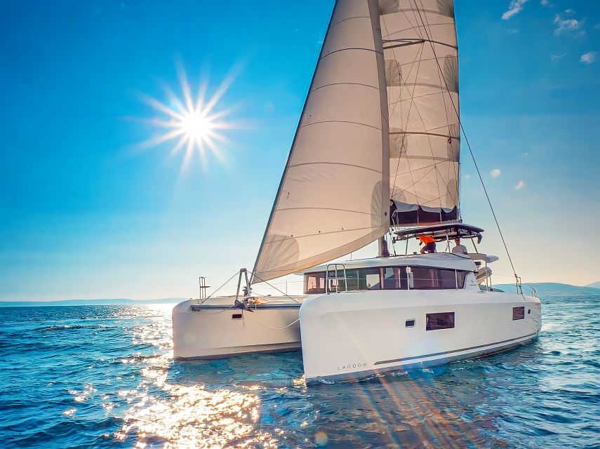 Funchal Bay: Dolphin & Whale Watch Luxury Catamaran Cruise - What this Funchal boat trip is really like