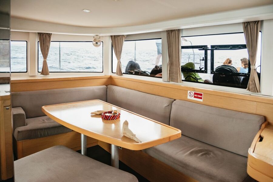 Funchal Bay: Dolphin & Whale Watch Luxury Catamaran Cruise - The slow return along Funchal’s coast