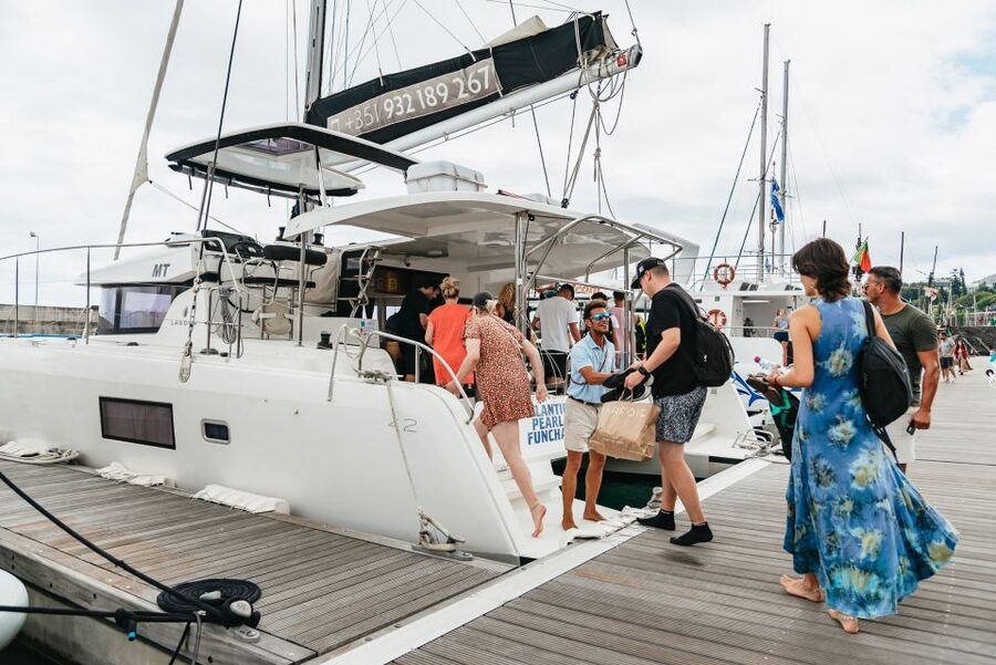 Funchal Bay: Dolphin & Whale Watch Luxury Catamaran Cruise - Heading offshore to search for whales and dolphins