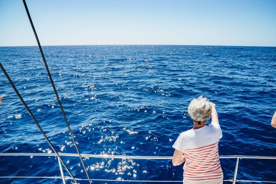 Funchal: Dolphin and Whale Watching by Luxury Catamaran - Meeting the Catamaran at Pier 8