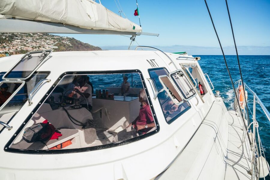 Funchal: Dolphin and Whale Watching by Luxury Catamaran - Wildlife Watching with a Respectful Crew