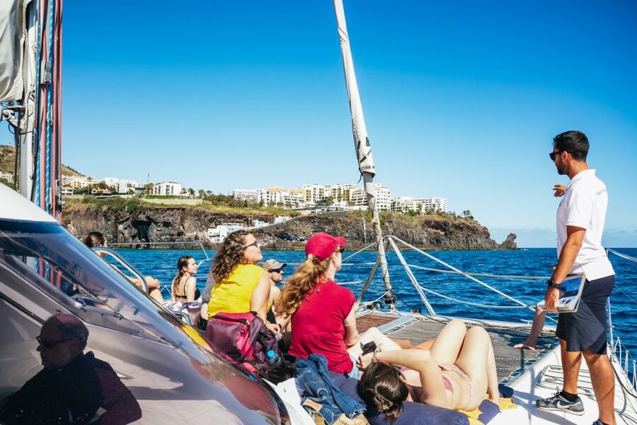 Funchal: Dolphin and Whale Watching by Luxury Catamaran - Cabo Girão and the Optional Swim
