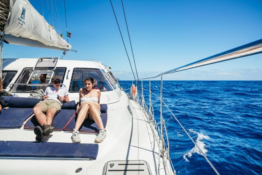 Funchal: Dolphin and Whale Watching by Luxury Catamaran - Sailing Back Along Madeira’s Coast