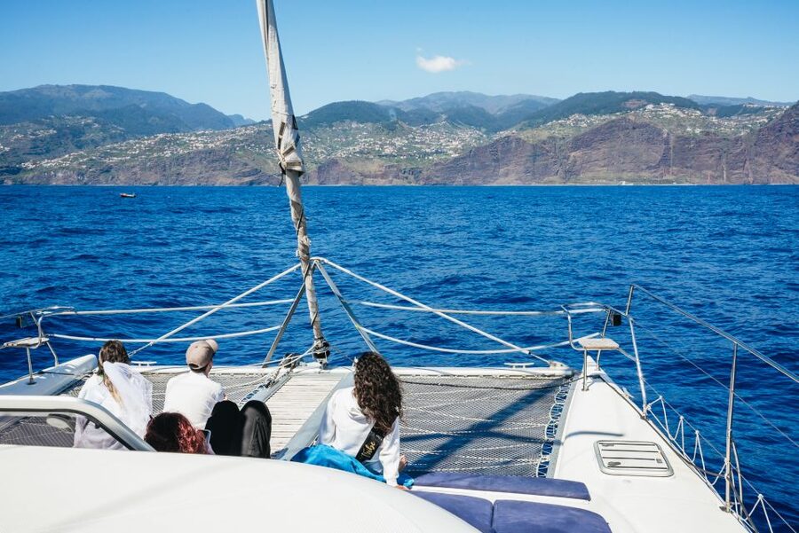 Funchal: Dolphin and Whale Watching by Luxury Catamaran - Practical Tips for a Better Day