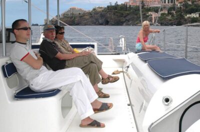 Dolphin and Whale Watching Catamaran Cruise