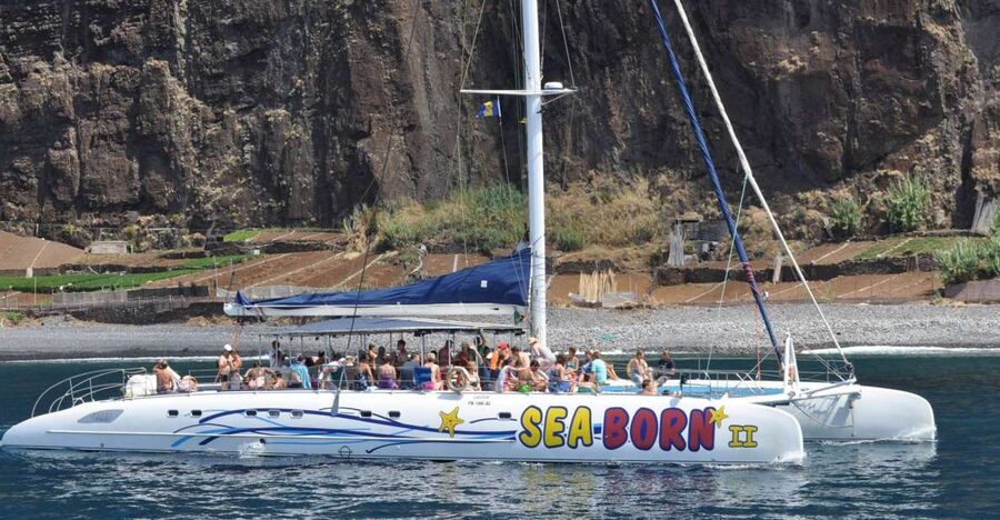 Funchal: Dolphin and Whale Watching Catamaran Cruise - The Cabo Girão swim stop