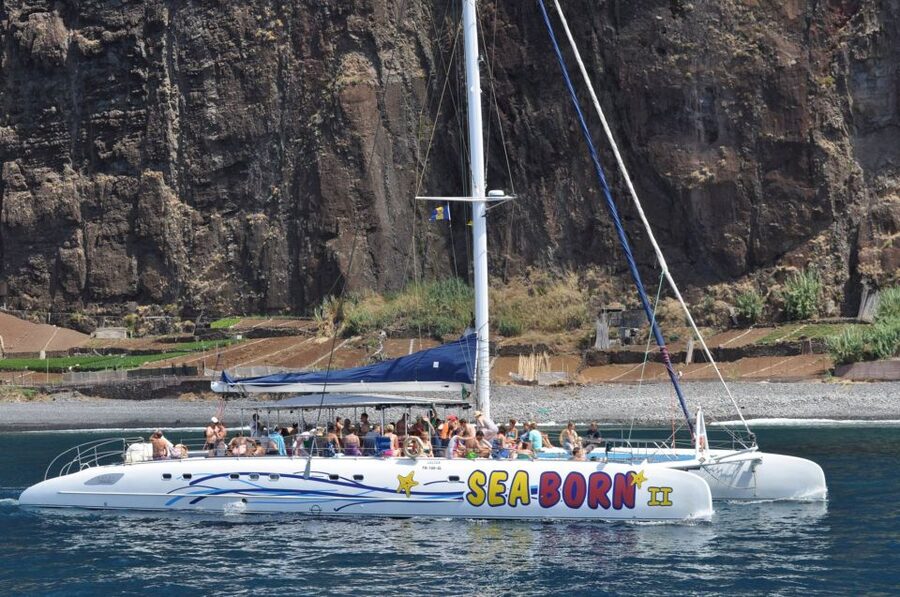 Funchal: Dolphin and Whale Watching Catamaran Cruise - Life aboard the catamaran