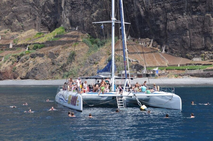 Funchal: Dolphin and Whale Watching Catamaran Cruise - Wildlife responsibility and what it means for you