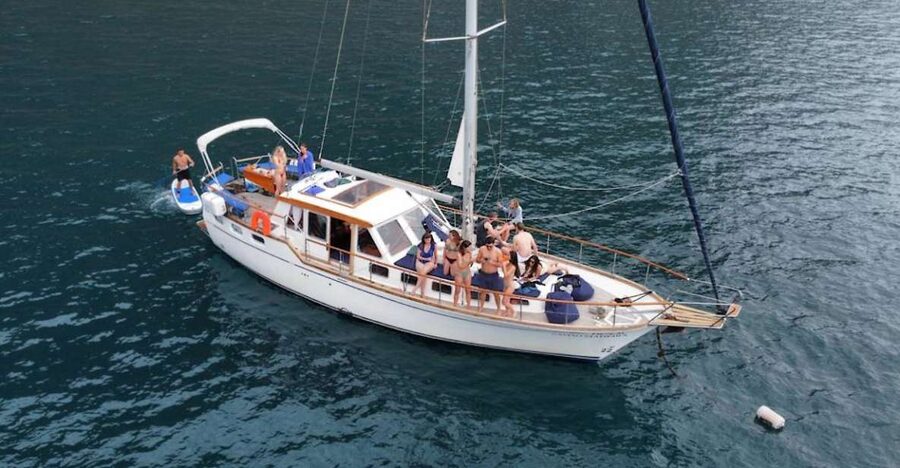 Funchal: Dolphin and Whale Watching Sailing Trip - Quick Takeaways