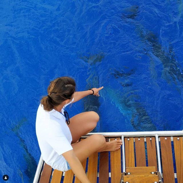 Funchal: Dolphin and Whale Watching Sailing Trip - Leaving Funchal Marina for the Atlantic