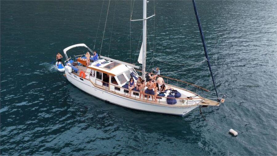 Funchal: Dolphin and Whale Watching Sailing Trip - Searching for Dolphins and Whales Three Miles Offshore