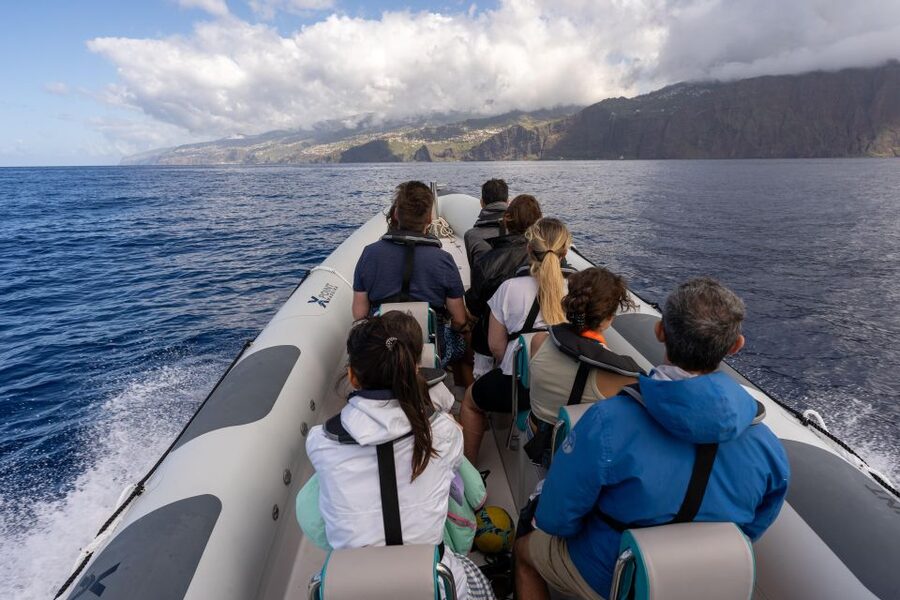 Funchal: RIB Whale Watching Cruise and Optional Dolphin Swim - The optional dolphin swim: exciting, brief, and not guaranteed