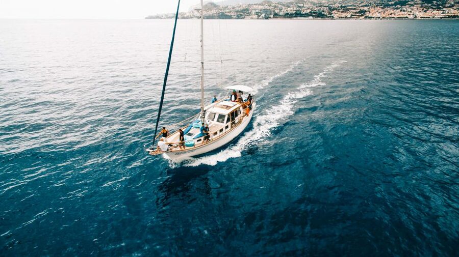 Funchal: Sunset Sailing Tour - Sunset on the return to Funchal