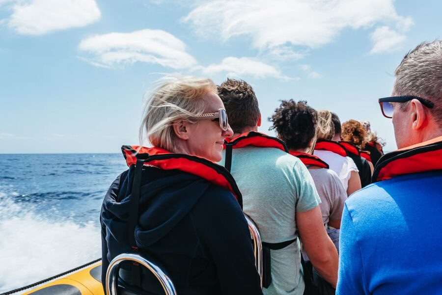 Funchal: Whale and Dolphin Watching Speed Boat Tour - The marine biologist adds real value