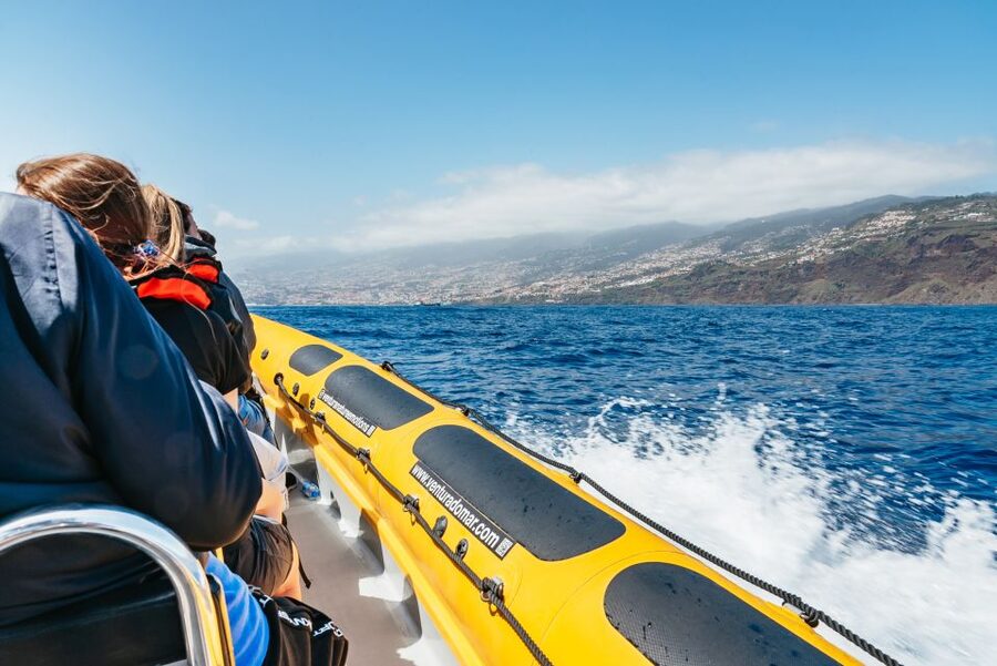 Funchal: Whale and Dolphin Watching Speed Boat Tour - Madeira’s coastline from the water