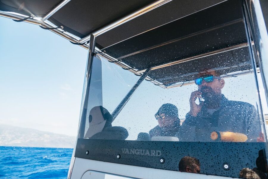 Funchal: Whale and Dolphin Watching Speed Boat Tour - The full 2.5-hour itinerary