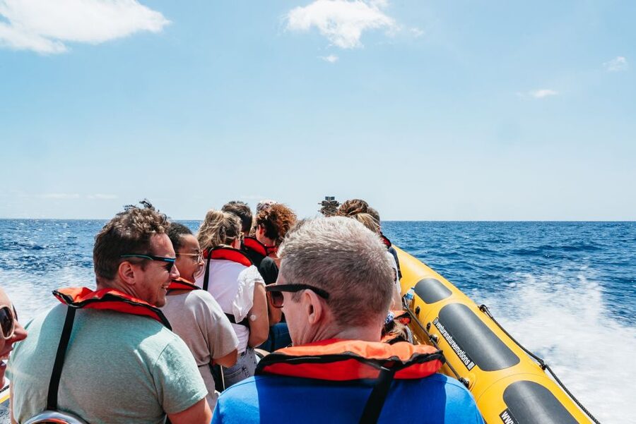 Funchal: Whale and Dolphin Watching Speed Boat Tour - Is $56 good value?