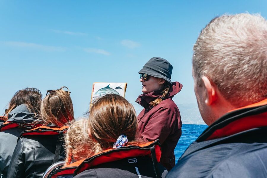Funchal: Whale and Dolphin Watching Speed Boat Tour - Who should book this Madeira boat tour?