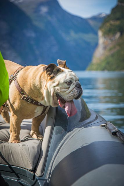 Geiranger: Guided Geirangerfjord Boat Tour - Is $88 good value for 75 minutes?