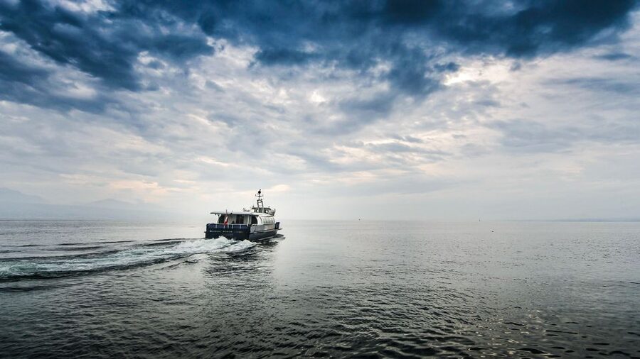Geneva: 50-Minute Lake Geneva Cruise - Mont-Blanc, the Alps, and Geneva’s international side