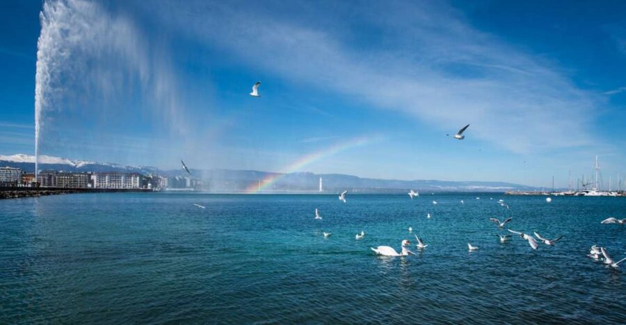 Geneva: Scenic Lake Cruise with Snacks and Wine - Finding the Paquis crane and the correct boat