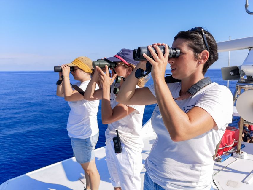 Genoa: Cetacean Watching Cruise with Marine Biologist Guide - The marine biologist briefing makes a difference