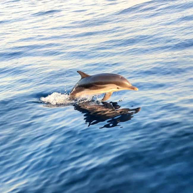 Giardini Naxos: Dolphin Searching Sunset Boat Tour - Setting out from Giardini Naxos with Etna behind you