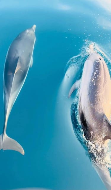 Giardini Naxos: Dolphin Searching Sunset Boat Tour - Isola Bella, White Lotus, and famous film scenery