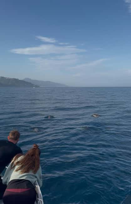 Giardini Naxos: Dolphin Searching Sunset Boat Tour - Swimming in clear water near Isola Bella