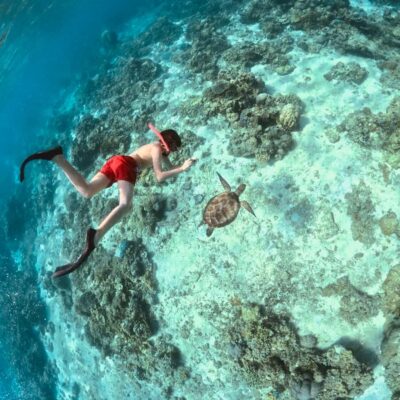 Gili Islands: Private or Shared Snorkeling Boat Trip