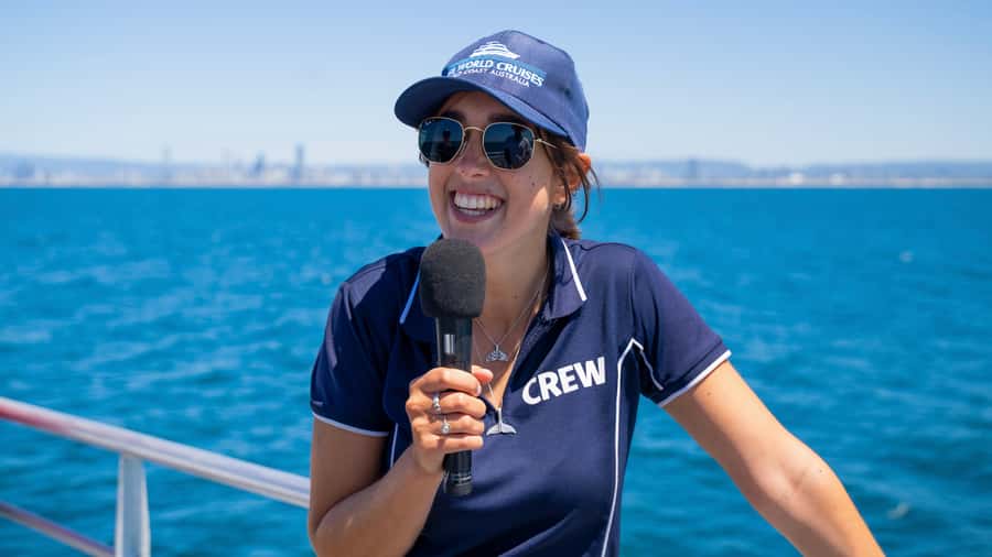 Gold Coast: Premium Whale Watching Cruise - Dolphins, turtles, and the wildlife bonus