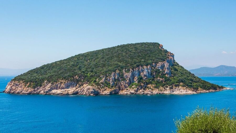 Golfo Aranci: Dolphin Watching and Snorkeling Boat Tour - Watching dolphins near the Gulf of the Dolphins