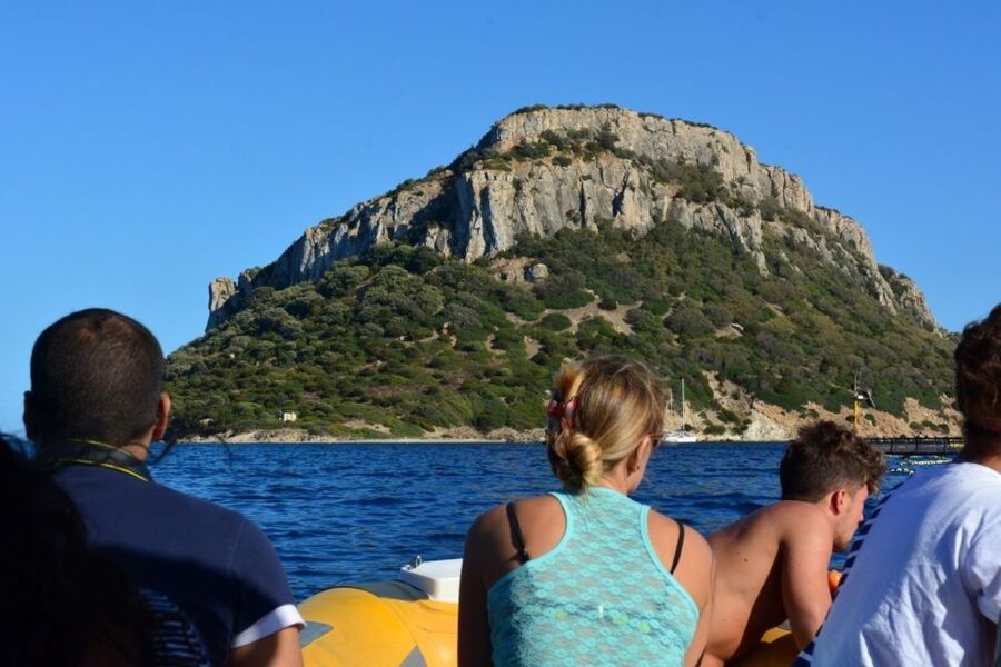 Golfo Aranci: Eco-Friendly Dolphin Watching Boat Trip - From the Golfo Aranci office to the open water