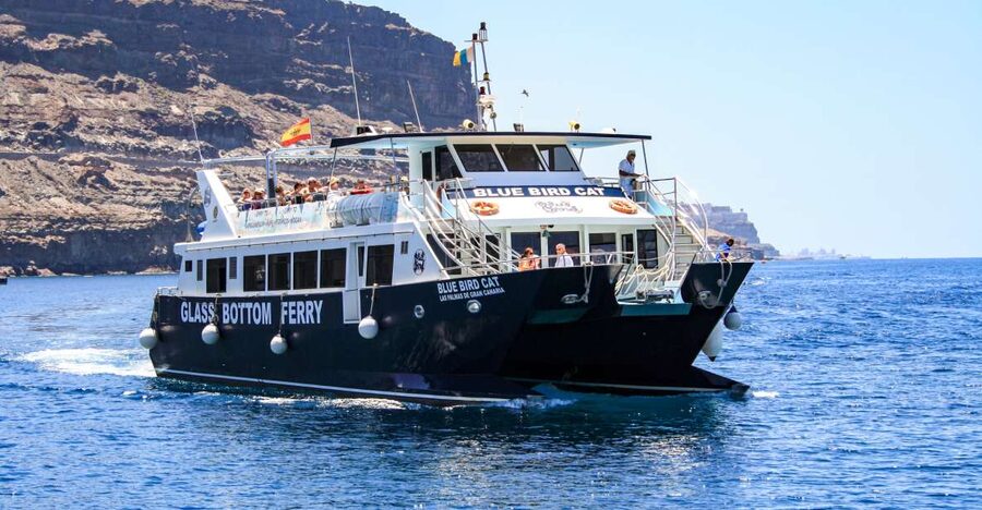 Gran Canaria: Catamaran Dolphin Watch Cruise with Snorkeling - Key things to know before you go