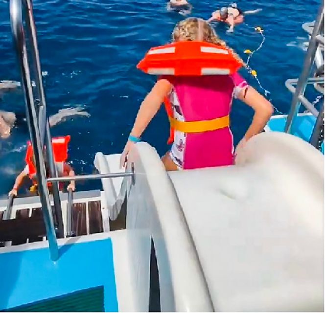 Gran Canaria: Catamaran Dolphin Watch Cruise with Snorkeling - Gran Canaria’s coast from the water