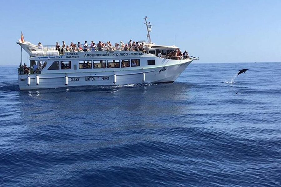 Gran Canaria: Dolphin and Whale Watching Cruise - Setting out from Gran Canaria’s southern coast